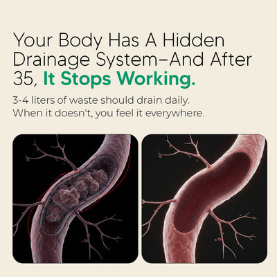 New Maximum Potency Formula - Lymphatic Drainage Capsules by Floriem™